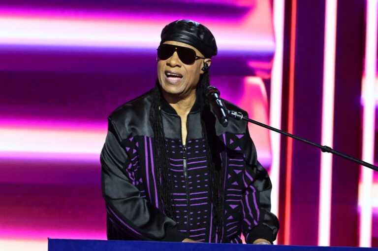 Stevie Wonder performing