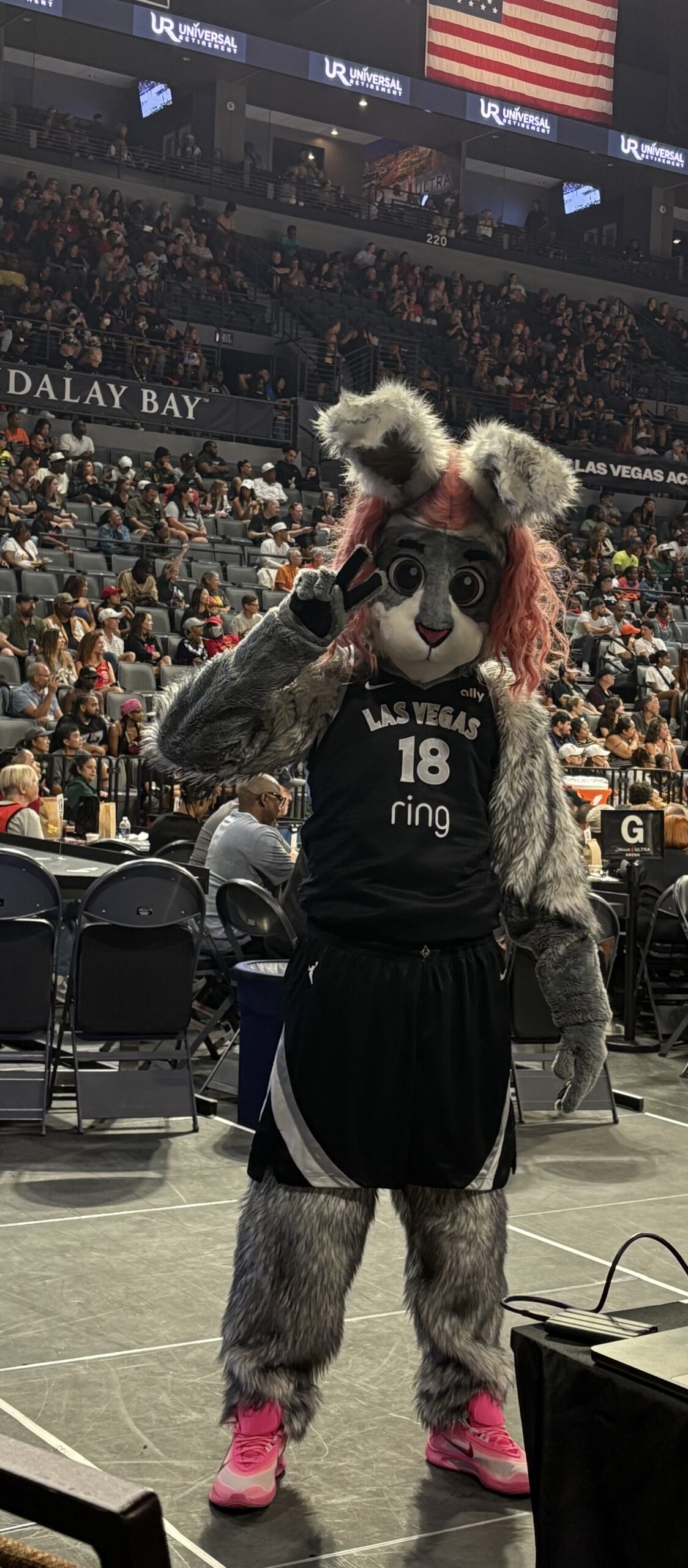 Buckets at Aces game