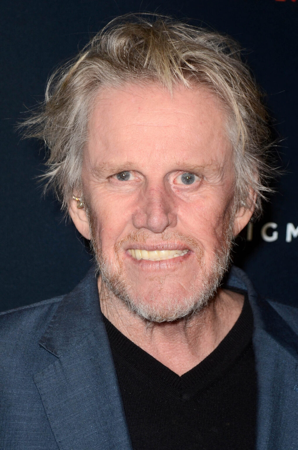 Gary Busey's Shocking Admission As He Pleads Guilty To Sex Crimes Charge
