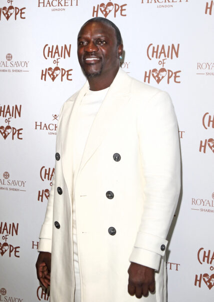 Akon at Chain Of Hope Ball
