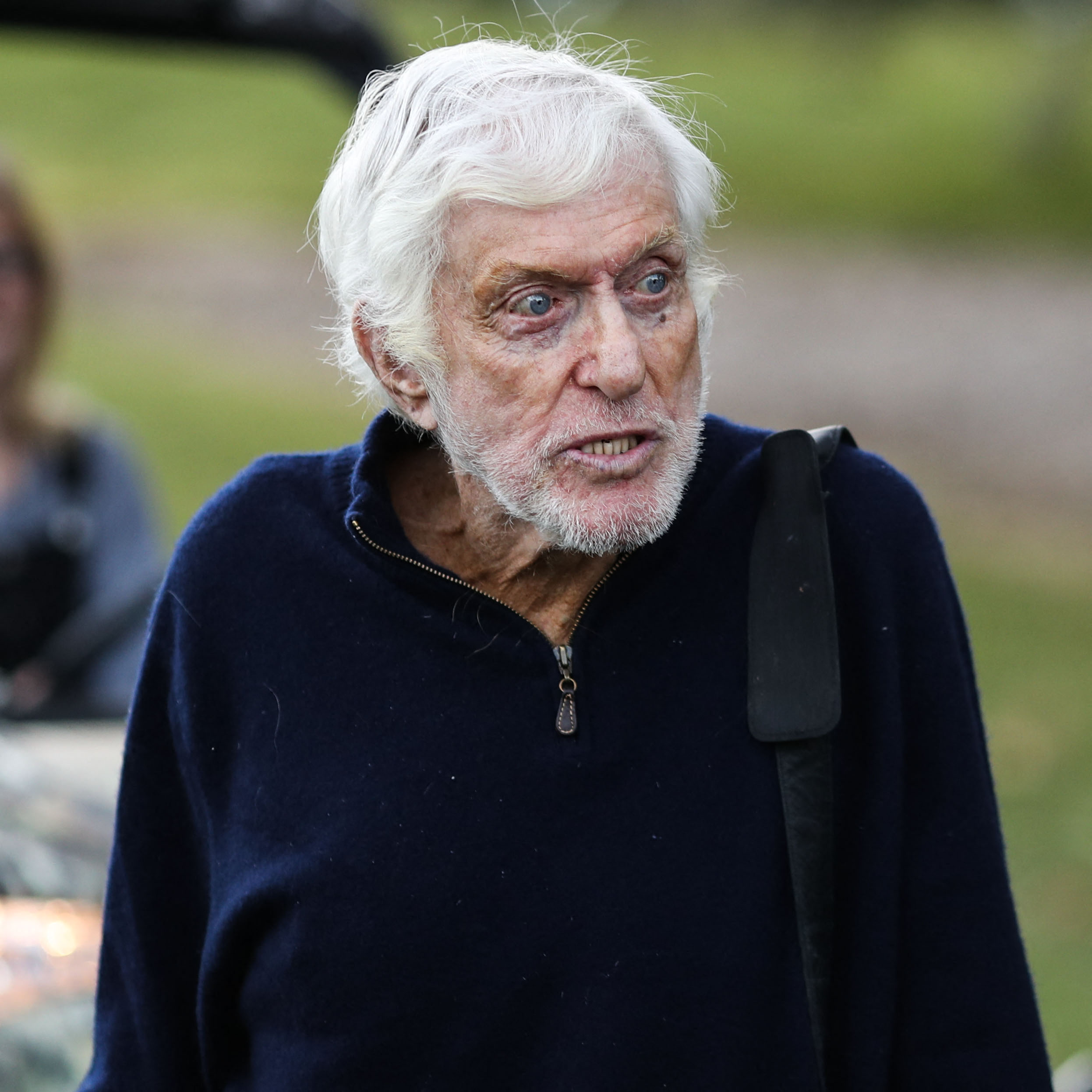 Dick Van Dyke at One Love Malibu Festival Benefit Concert For Woolsey Fire Recovery