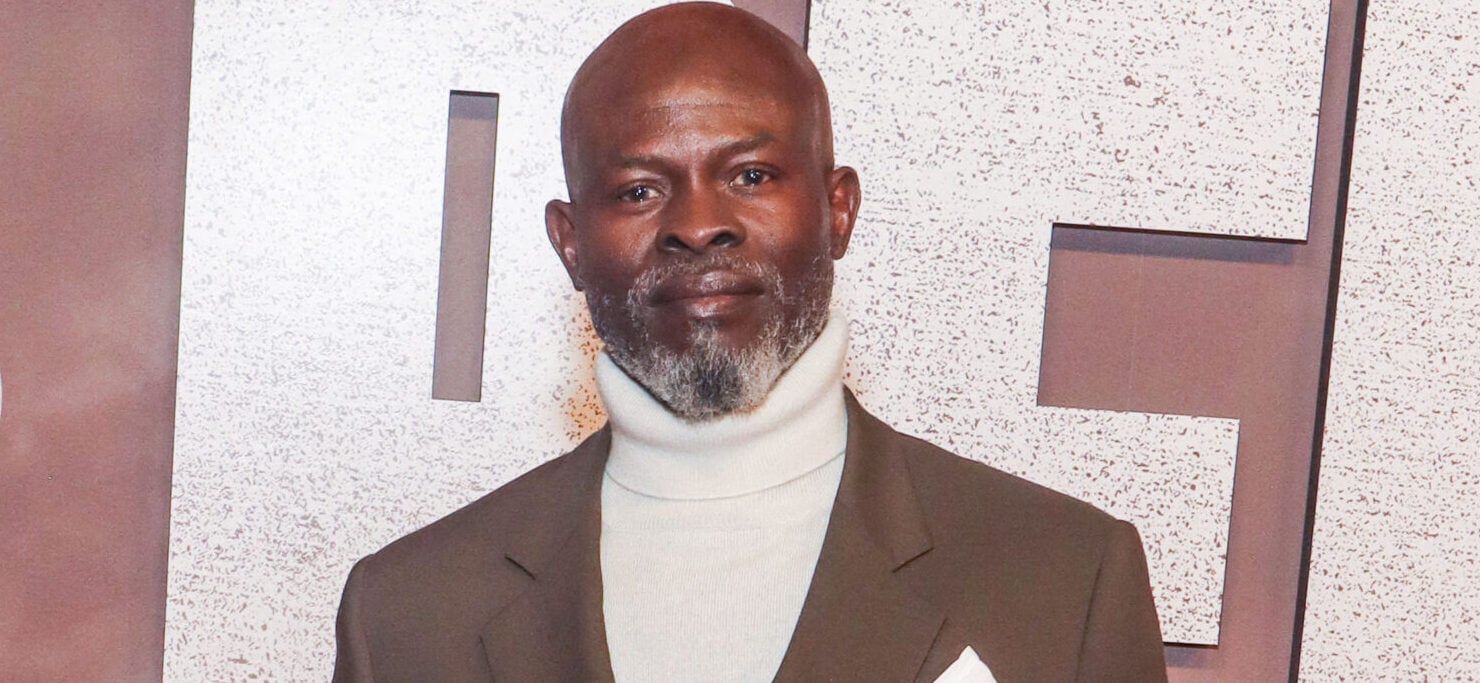 O drama de Djimon Hounsou, Baby Mama, se transforma em uma batalha pela custódia