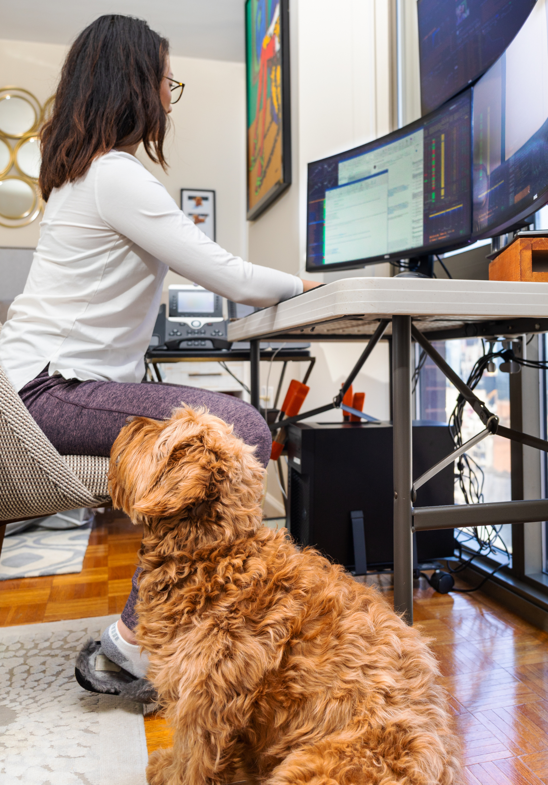 Woman at computer with dog by her side. 