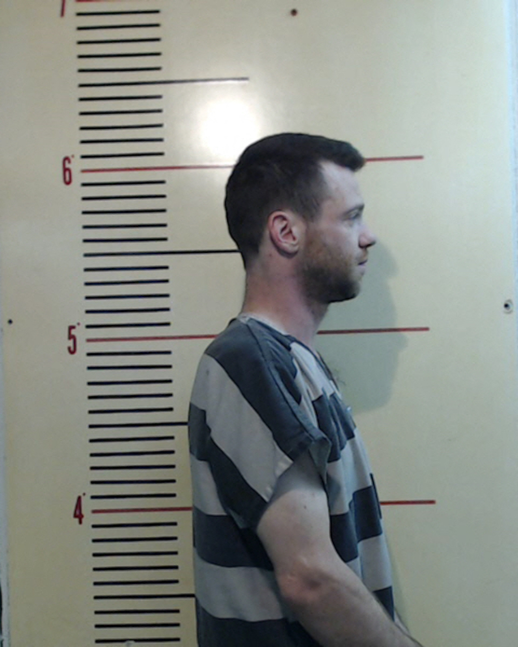Actor Bug Hall, known for his starring role as Alfalfa in 1994 family comedy movie, The Little Rascals, poses in a mugshot following his arrest in Texas
