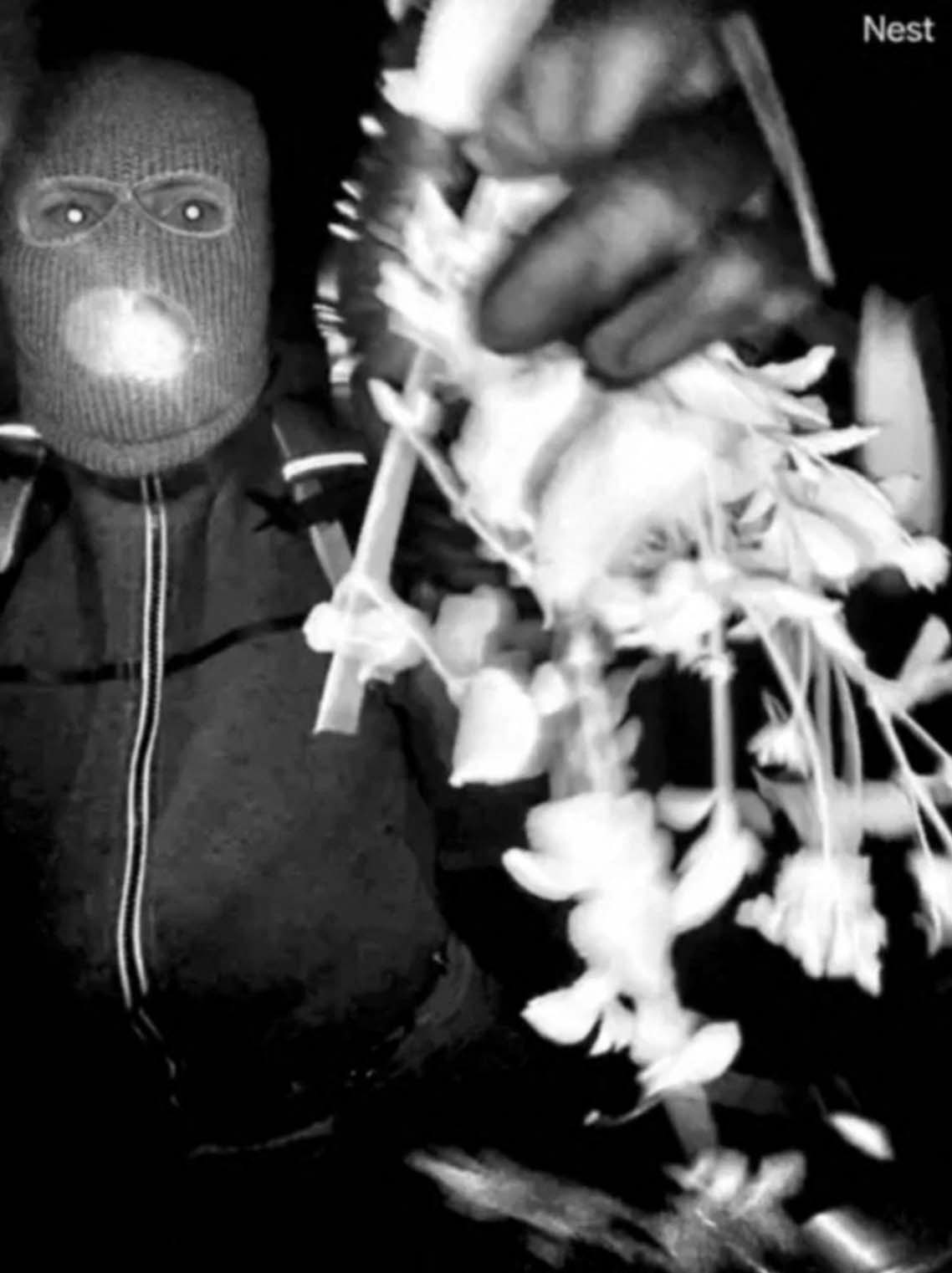 Individual in front of Nancy Guthrie's home. 