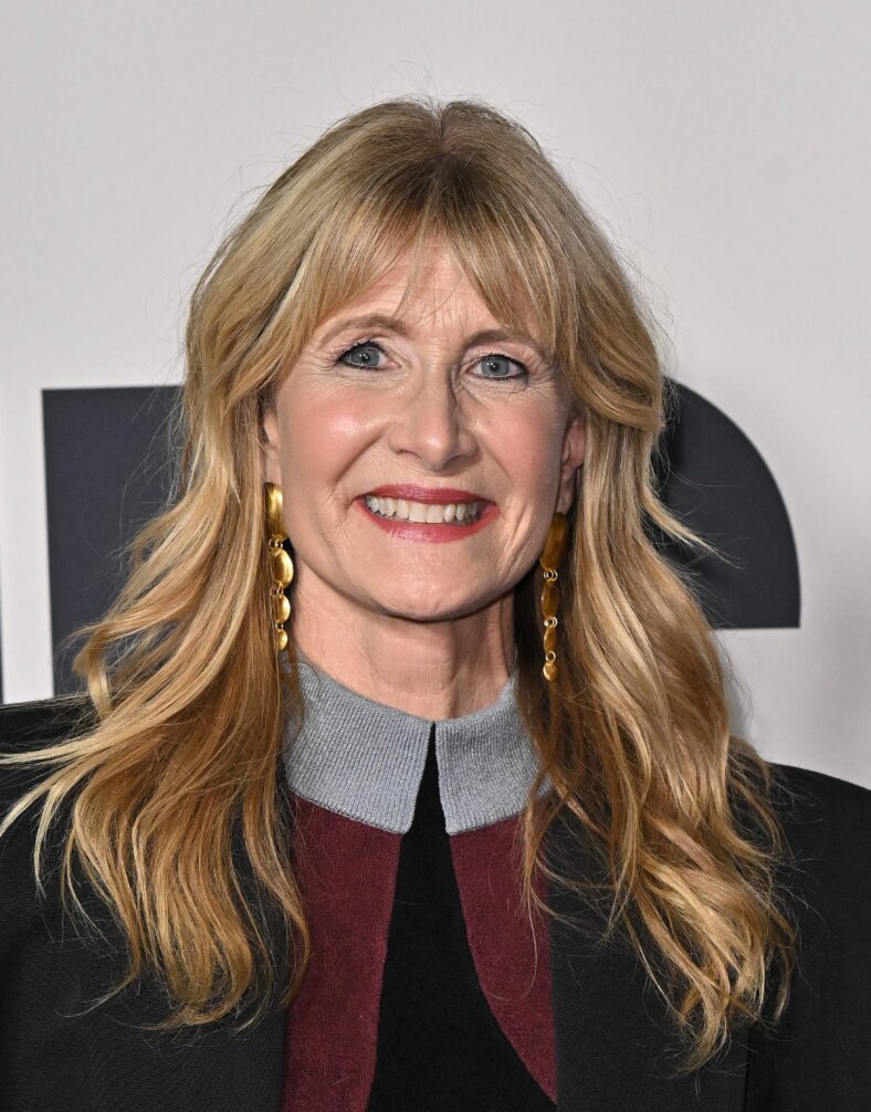 Laura Dern at Searchlight Pictures Is This Thing On? Premiere