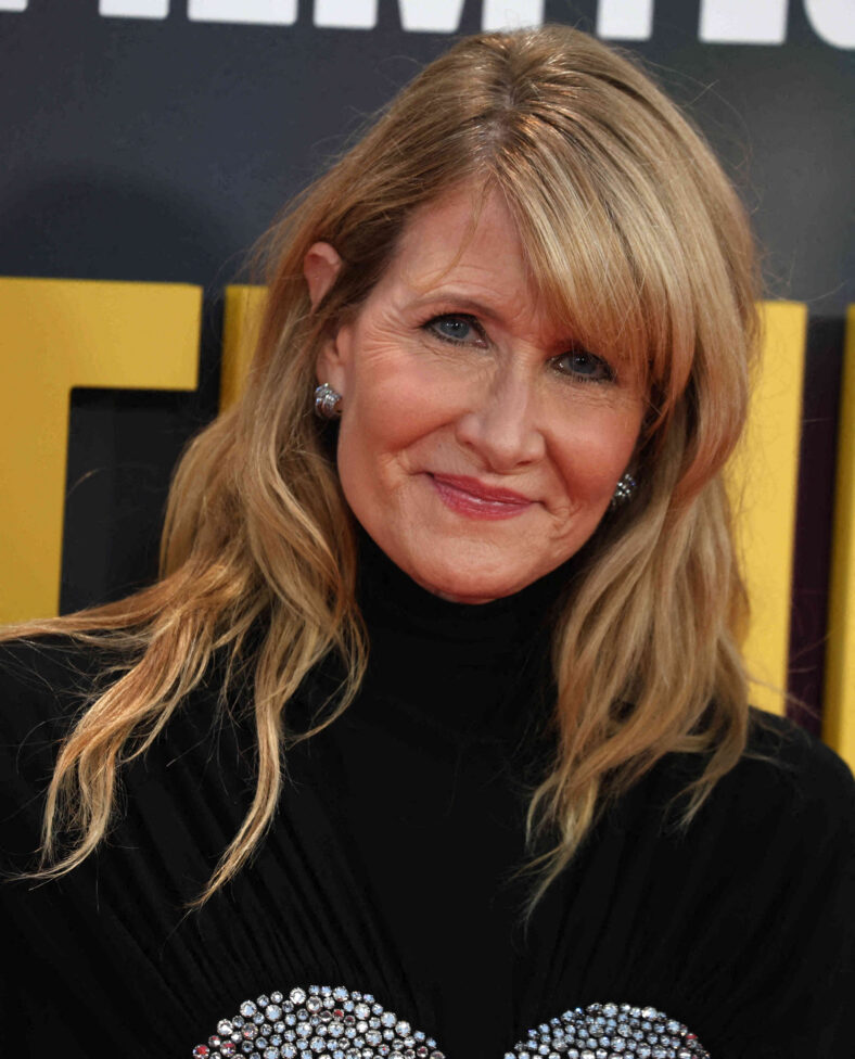 Laura Dern at The ''Is This Thing On?''UK Premiere In London