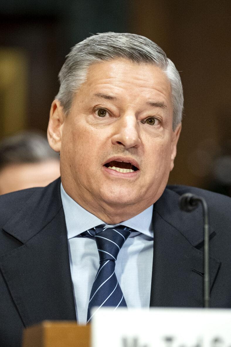 Co-CEO of Netflix Ted Sarandos