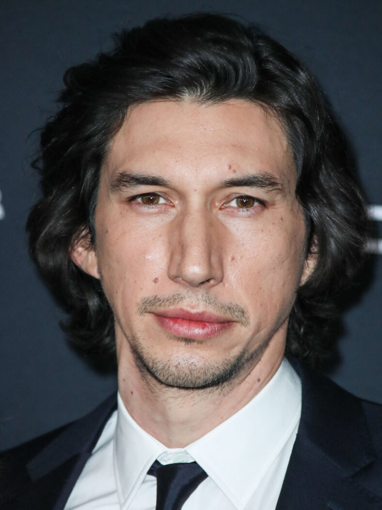 Adam Driver at The Rise of Skywalker premiere