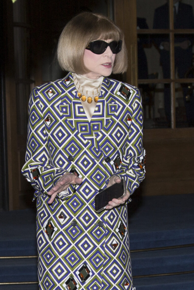 Anna Wintour on the red carpet