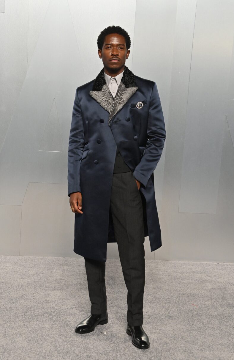 Damson Idris on the red carpet 