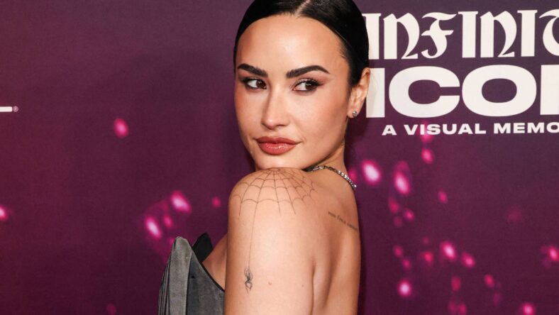 Demi Lovato on the red carpet