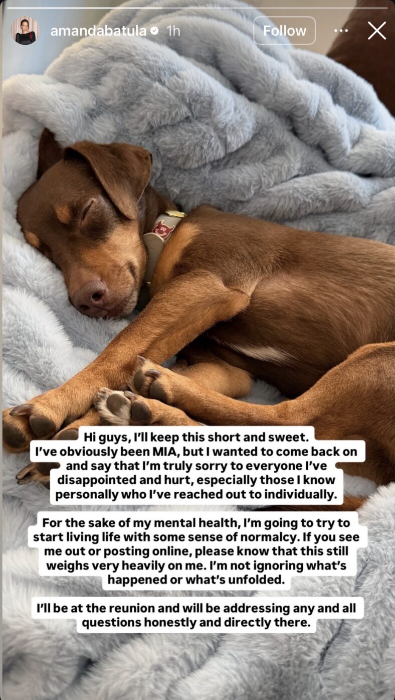 Amanda Batula statement 