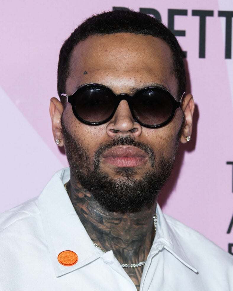 Chris Brown posing on the red carpet. 