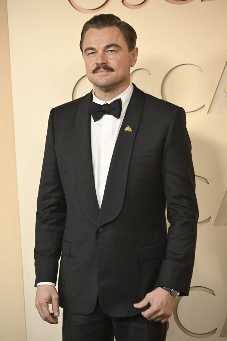 Leonardo DiCaprio on the red carpet