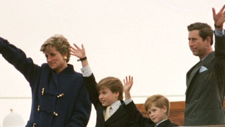 Princess Diana’s Chef Says She’d Still Be Proud Of William And Harry