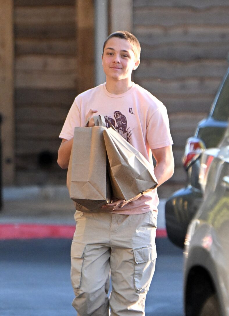 Knox Jolie-Pitt is seen picking up groceries at a local market in Los Feliz