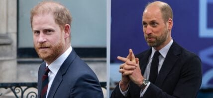 A side-by-side collage of Prince William and Prince Harry