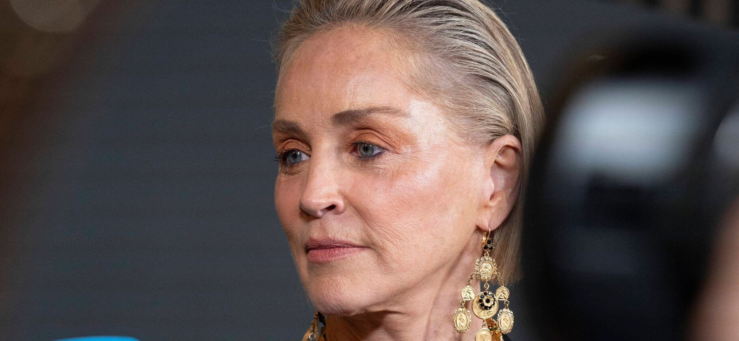 Sharon Stone revela o que ela gostaria que sua falecida mãe dissesse