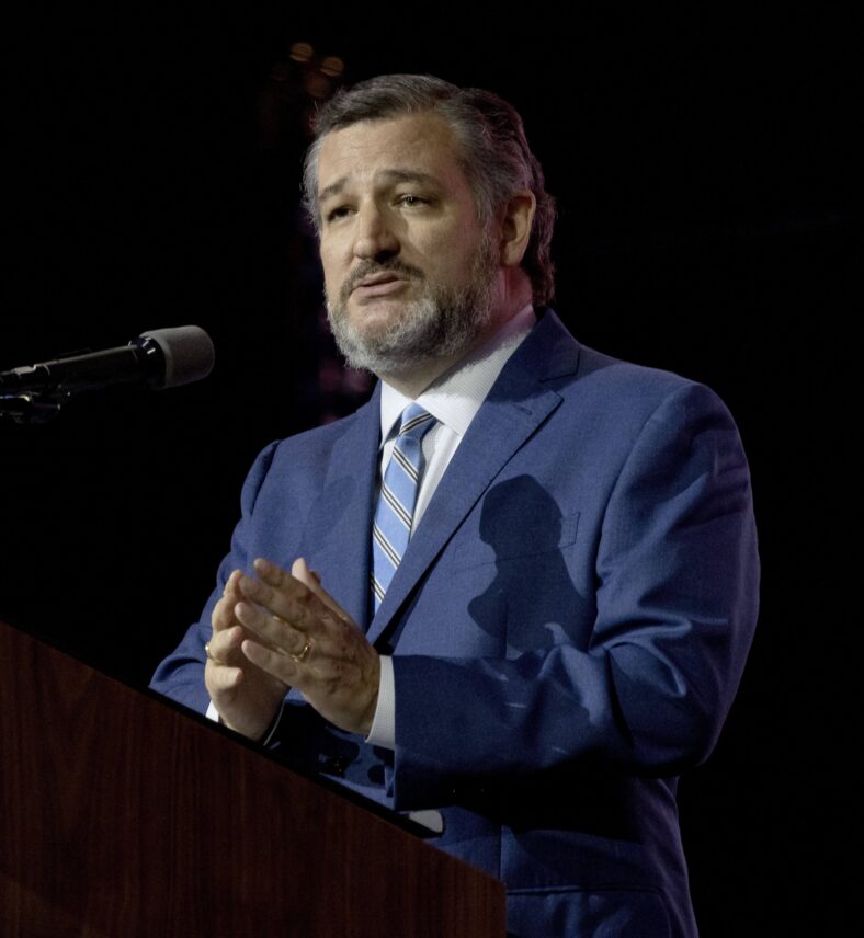 Ted Cruz speaks during a convention