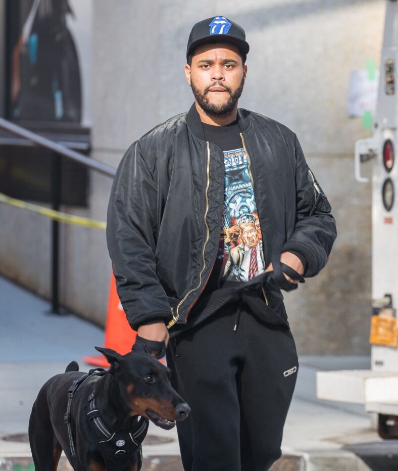The Weeknd spotted walking his new puppy in New York.