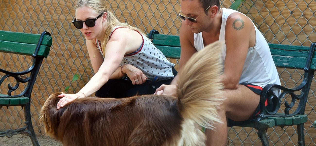Amanda Seyfried diz que Dog Finn é sua ‘alma gêmea’