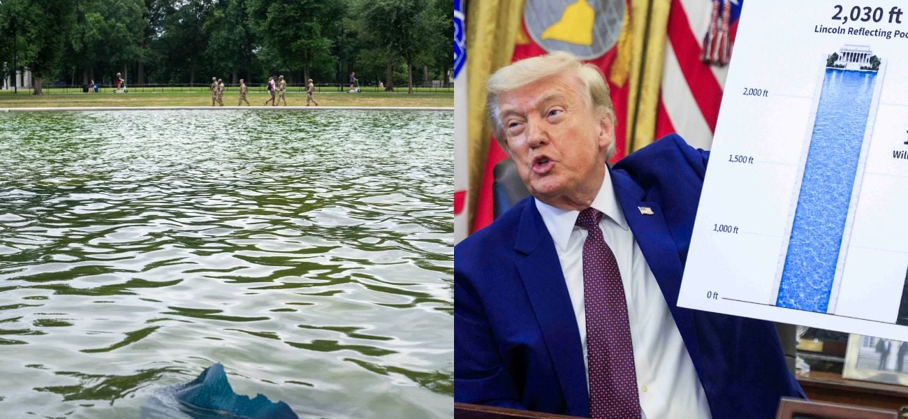 O fiasco do espelho d’água de Trump dá uma reviravolta triste com o patinho morto