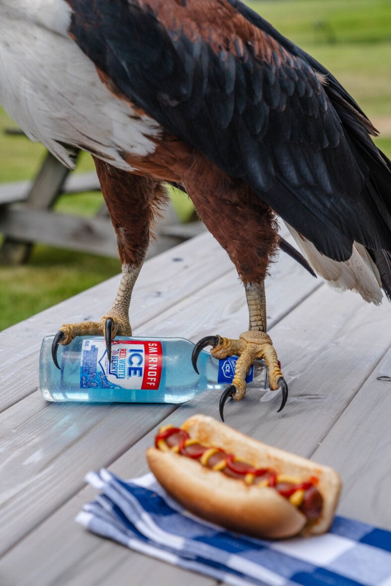 Smirnoff Ice and an eagle