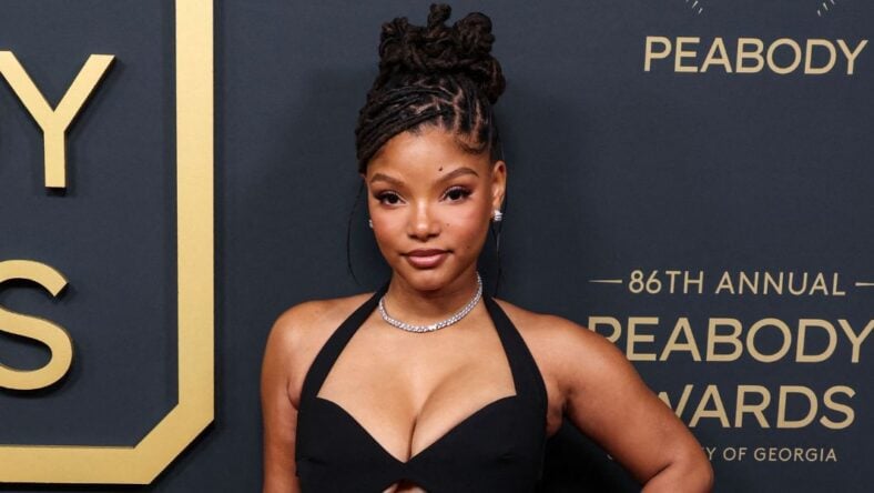 Halle Bailey’s Plunging Bikini Snaps Have Fans Swooning