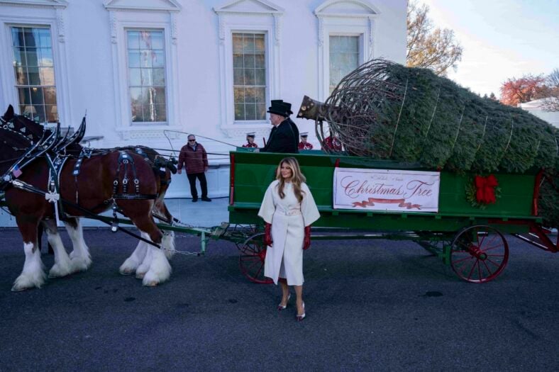 Melania Trump Welcomes The Official 2025 White House Christmas Tree