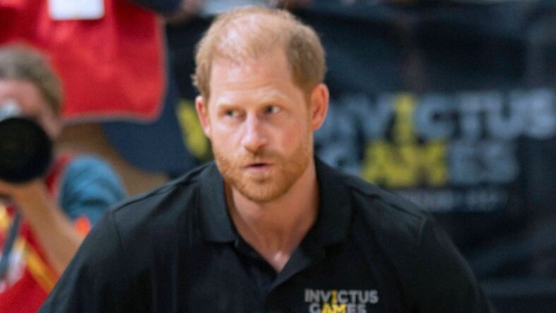 Prince Harry Comforts Bereaved Kids With Diana Story