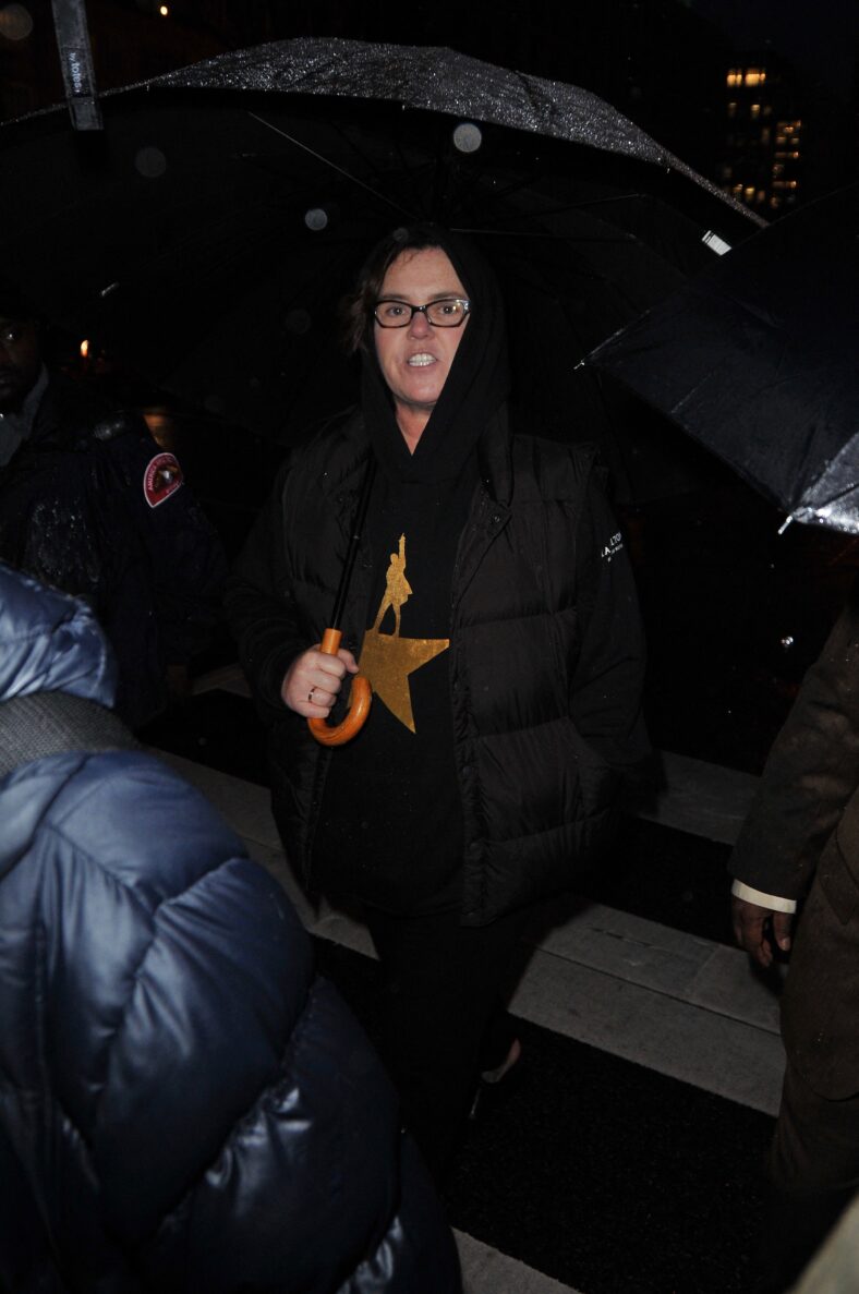 Rosie O'Donnell heads to an anti-Trump protest outside of the White House