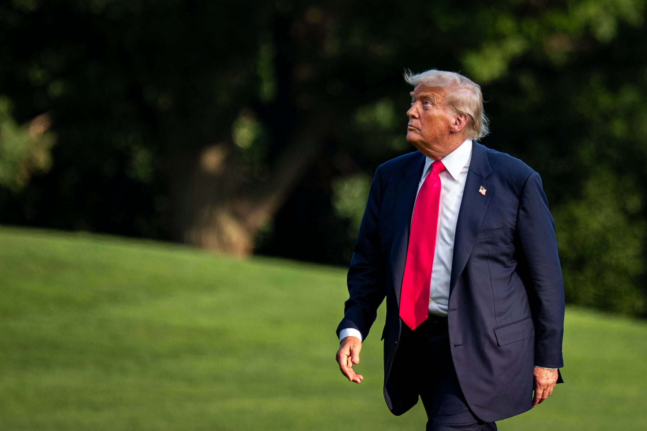 Donald Trump Moves To Clamp Down On AI After OpenAI Security Chaos