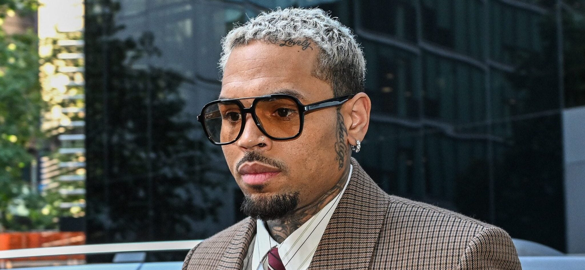 Chris Brown foi condenado a US$ 13 milhões em um caso de ataque de cães