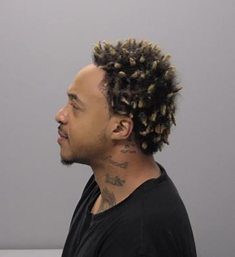 Thats So Raven star Orlando Brown grins after being arrested on domestic violence charge.