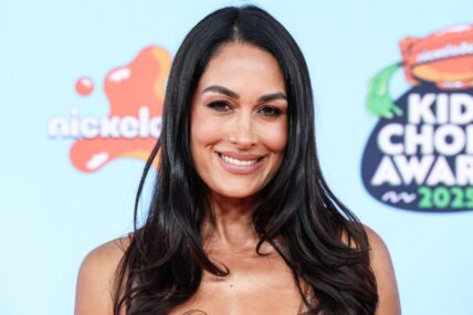 Brie Bella Hospitalized After WWE SummerSlam Match