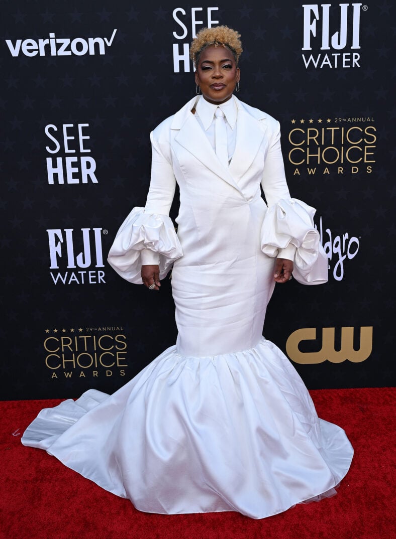 29th Annual Critics' Choice Awards, Arrivals, The Barker Hangar, Los Angeles, California, USA