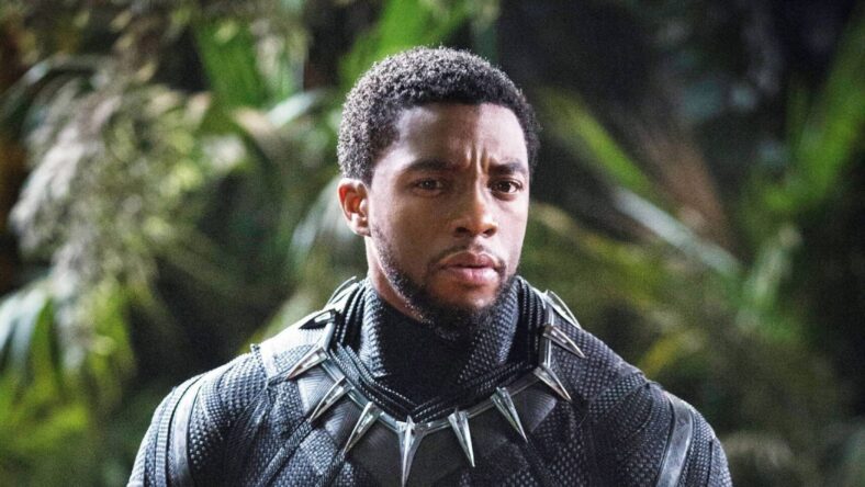 Fans Remember Chadwick Boseman Six Years After His Death