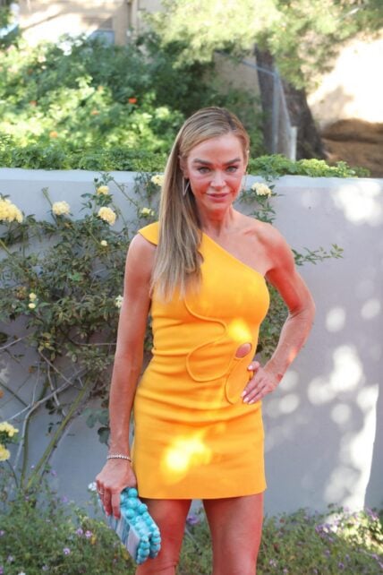 Denise Richards ‘Felt Bad' For EX Aaron Phypers Amid Alleged Domestic Abuse