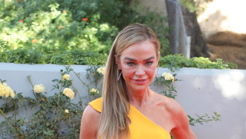 Denise Richards ‘Felt Bad’ For EX Aaron Phypers Amid Alleged Domestic Abuse  