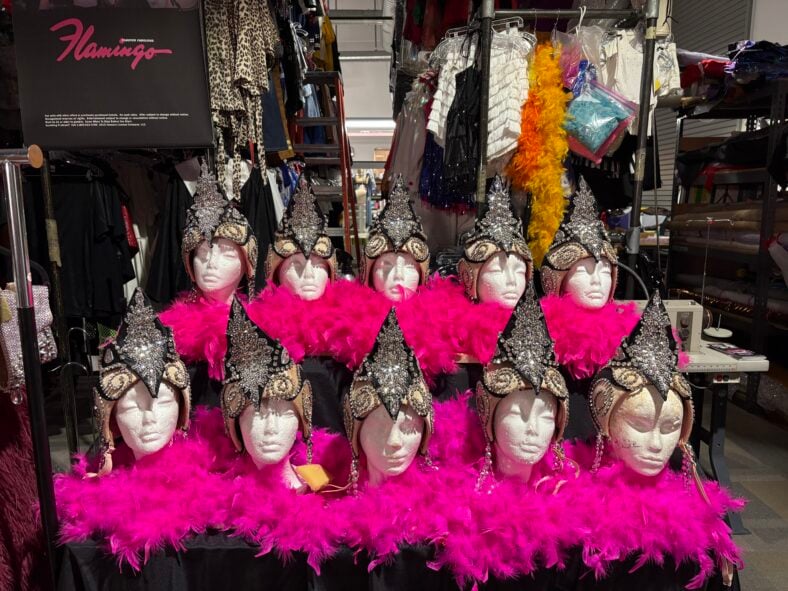 Showgirl Bootcamp