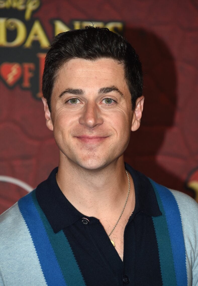 David Henrie posing on the red carpet. 