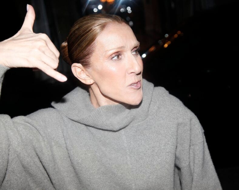 Celine Dion is seen arriving at her hotel after her concert in Paris