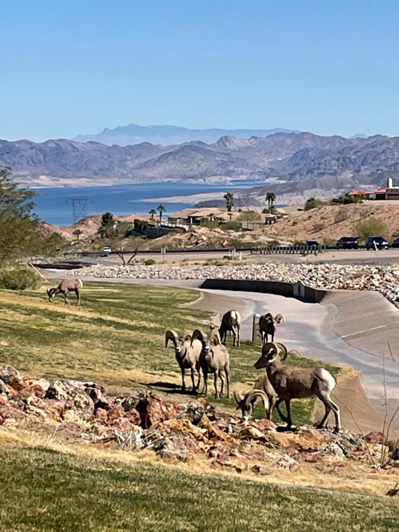 Lake Mead