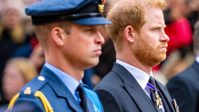 Prince Harry And William Take Similar Approach To Earl Spencer’s Explosive Claims