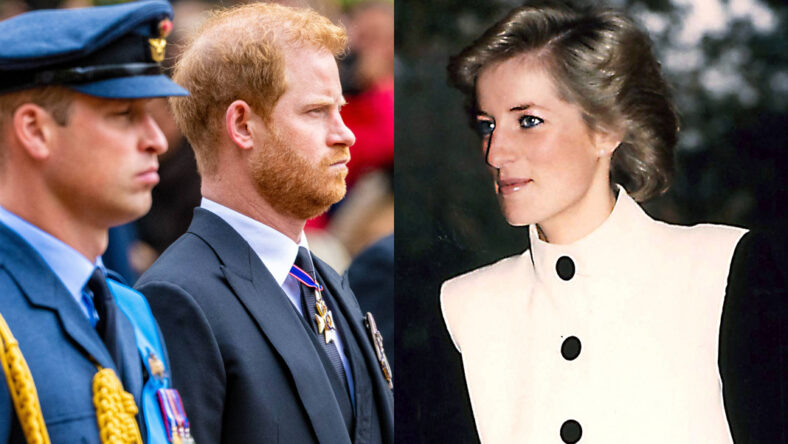Princess Diana’s Upcoming Anniversary Reveals The Depth Of William & Harry’s Rift