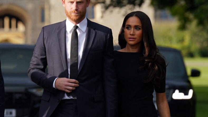 Princess Diana’s Brother Says Harry And Meghan Face ‘Echoes’ Of What She Endured