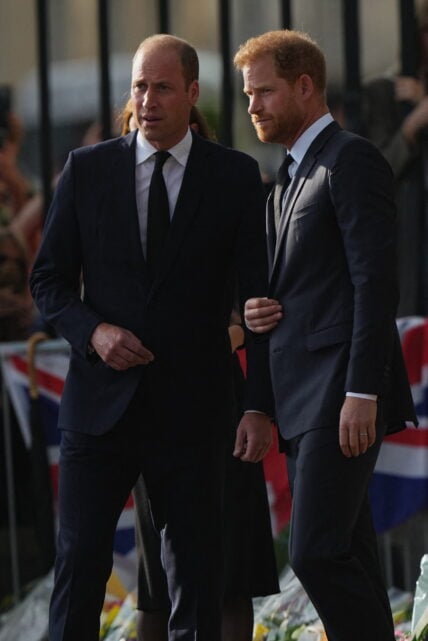 Prince Harry Can't Believe He's Unable To Reconcile With Prince William Amid Feud