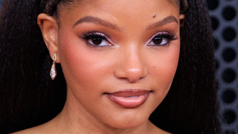 Halle Bailey Risks Wardrobe Malfunction In Risqué Top As Fan Questions Her ‘Trust In That Shirt’