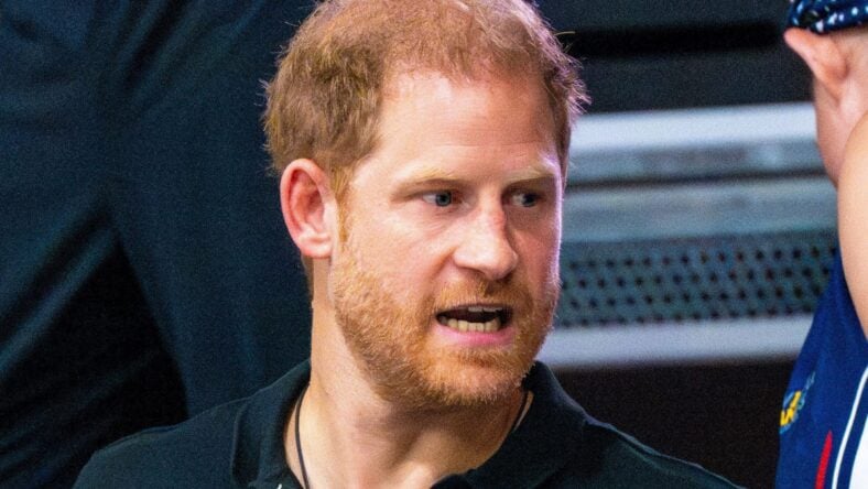 Prince Harry Reflects on Final Diana Call And The Regret He Has To ‘Live With’